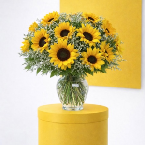 12 sunflower
